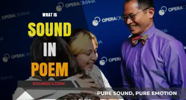 Exploring the Musicality of Poetry: What Makes Sound in Verse?