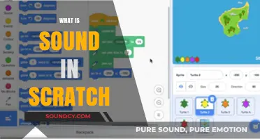 Exploring Sound in Scratch: A Beginner's Guide to Audio Programming