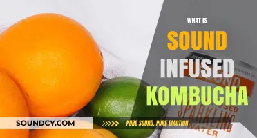 Exploring Sound-Infused Kombucha: A Unique Fermented Wellness Trend