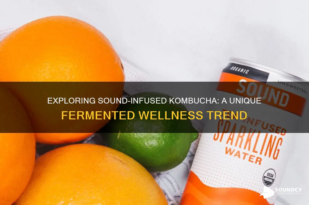 what is sound infused kombucha