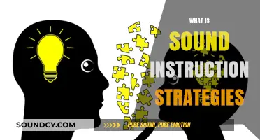 Effective Teaching: Mastering Sound Instruction Strategies for Engaging Learning