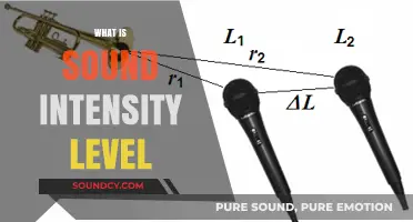 Understanding Sound Intensity Level: Definition, Measurement, and Real-World Applications