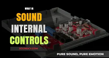 Understanding Sound Internal Controls: Key Principles for Effective Business Management