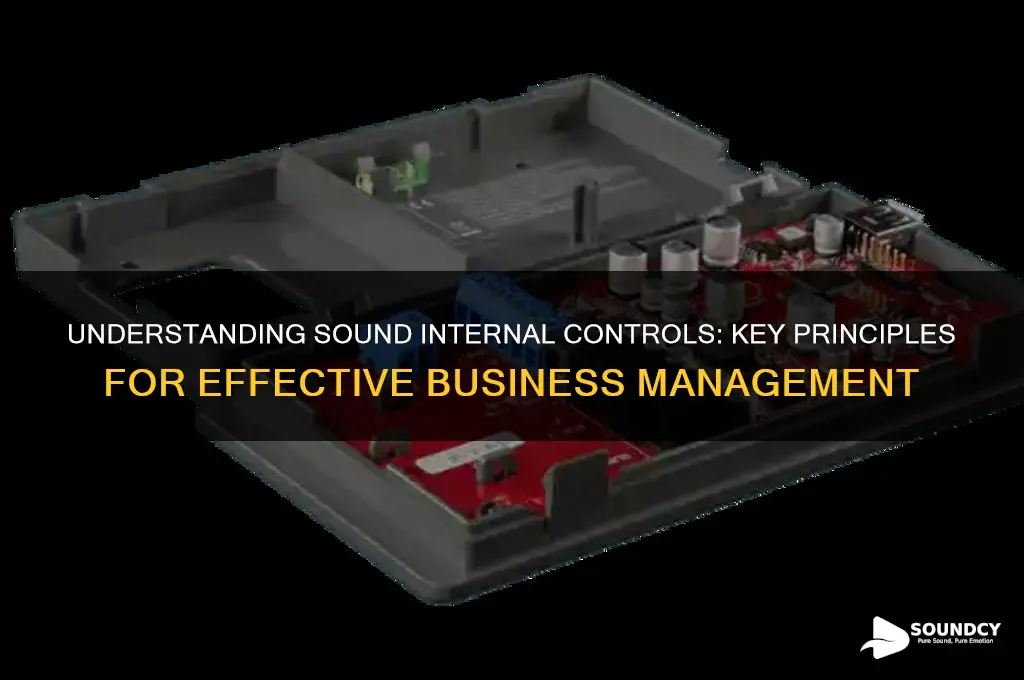 what is sound internal controls