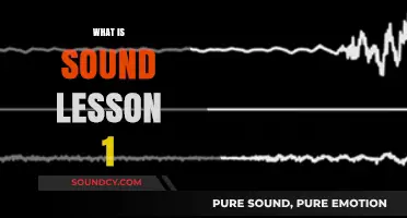 Understanding Sound: Lesson 1 - Basics of Sound Waves Explained