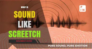 Understanding the Ear-Piercing Phenomenon: What Makes a Sound Like a Screech?