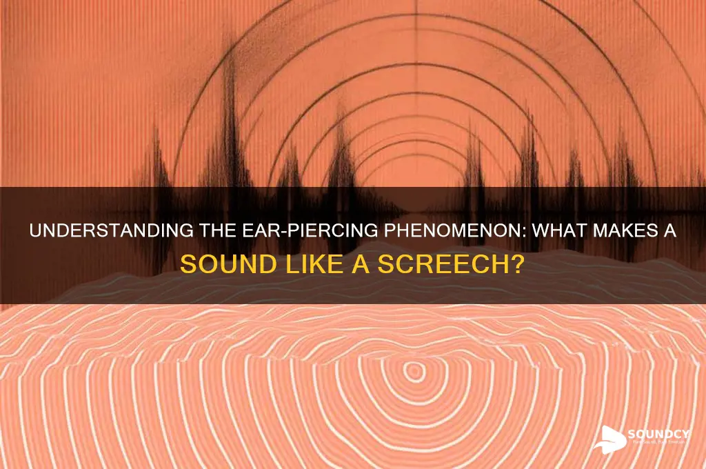 what is sound like screetch