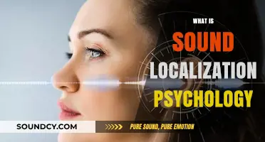 Understanding Sound Localization: The Psychology Behind Auditory Spatial Awareness