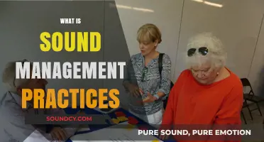 Effective Sound Management Practices for Sustainable Business Success
