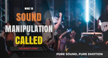 Understanding Sound Manipulation: Techniques, Tools, and Creative Applications