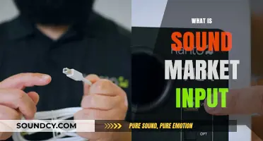 Understanding Sound Market Input: Key Strategies for Informed Business Decisions