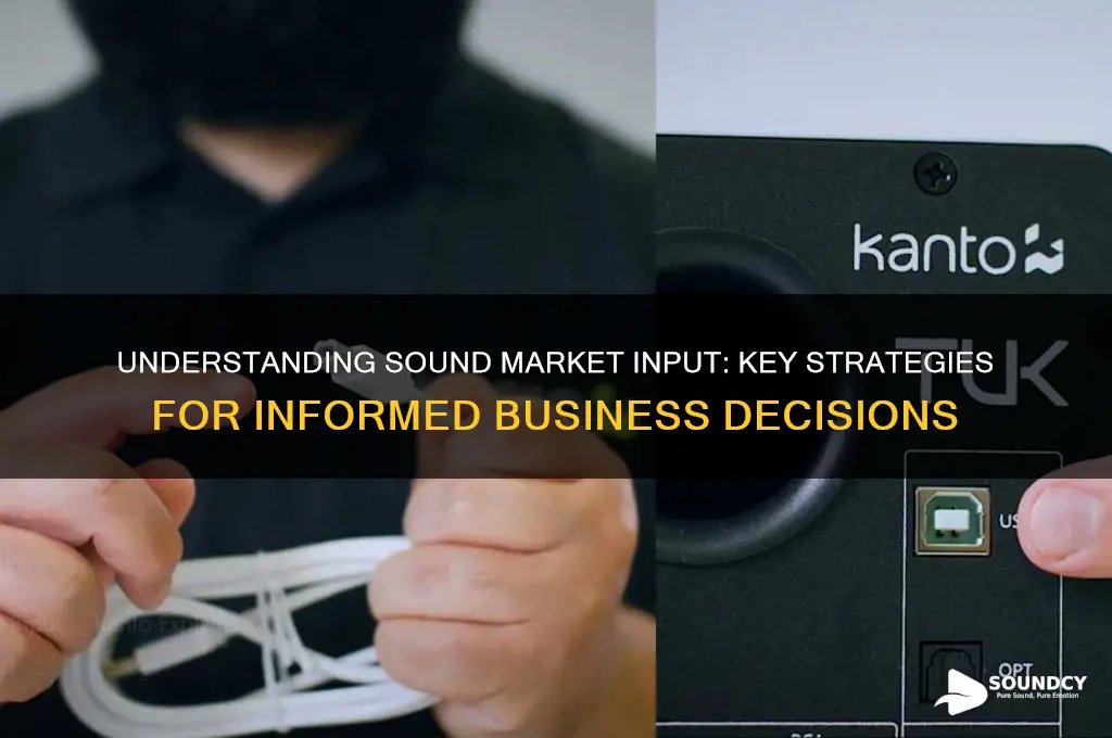 what is sound market input