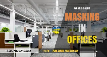 Sound Masking: Enhancing Office Privacy and Productivity