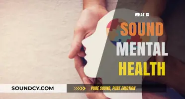Understanding Sound Mental Health: Key Principles for Well-Being and Balance