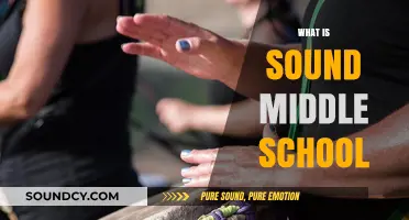 Exploring Sound Middle School: Curriculum, Culture, and Community Highlights