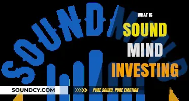 Sound Mind Investing: Strategies for Calm, Rational Financial Decision-Making