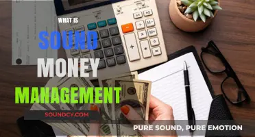 Mastering Sound Money Management: Strategies for Financial Stability and Growth