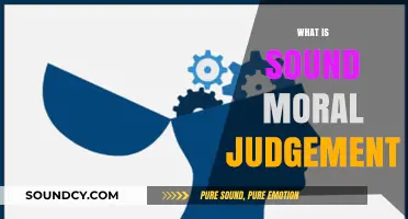 Understanding Sound Moral Judgment: Principles, Ethics, and Decision-Making