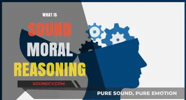 Understanding Sound Moral Reasoning: Principles, Ethics, and Decision-Making Explained
