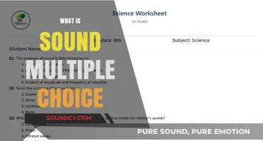 Understanding Sound: Multiple Choice Questions to Test Your Knowledge