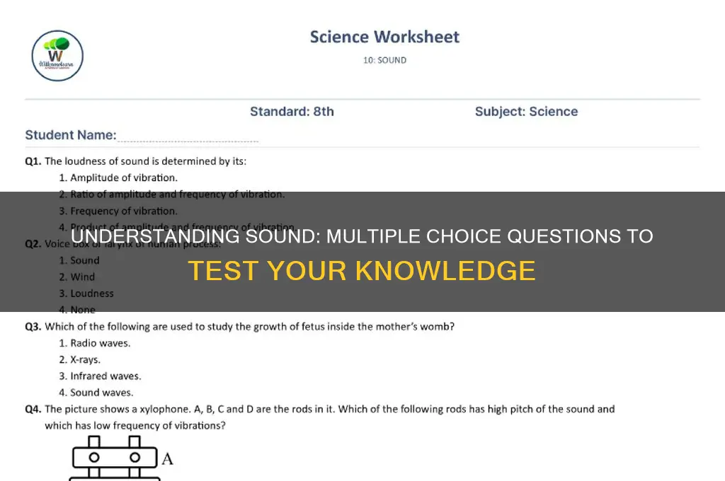 what is sound multiple choice