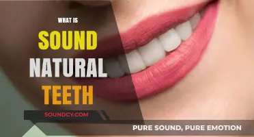 Understanding Sound Natural Teeth: Health, Care, and Longevity Explained