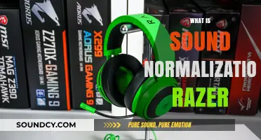 Understanding Sound Normalization in Razer Audio Technology: A Comprehensive Guide