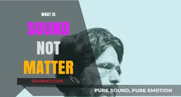 Exploring the Intangible Nature of Sound Beyond Physical Matter