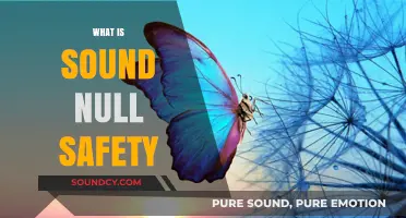 Understanding Sound Null Safety: A Comprehensive Guide for Developers