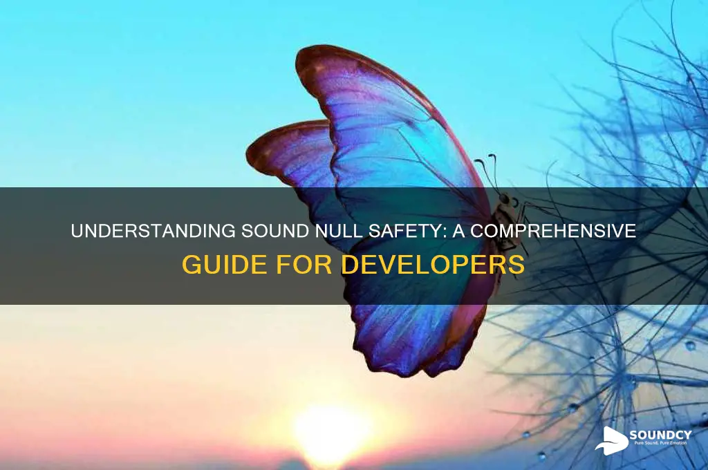 what is sound null safety