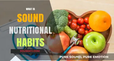 Mastering Sound Nutritional Habits for Optimal Health and Wellness