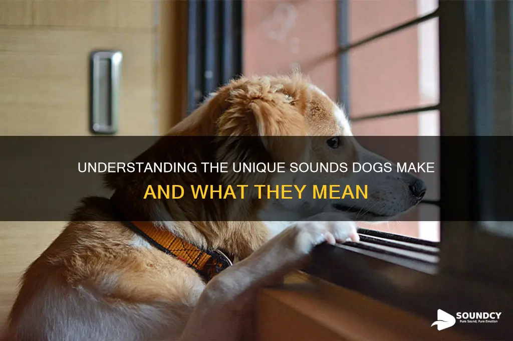 what is sound of dog