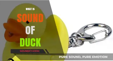 Quacking Unveiled: Understanding the Unique Sound of a Duck