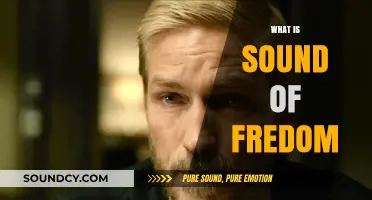 Unveiling the Powerful Message Behind the Sound of Freedom