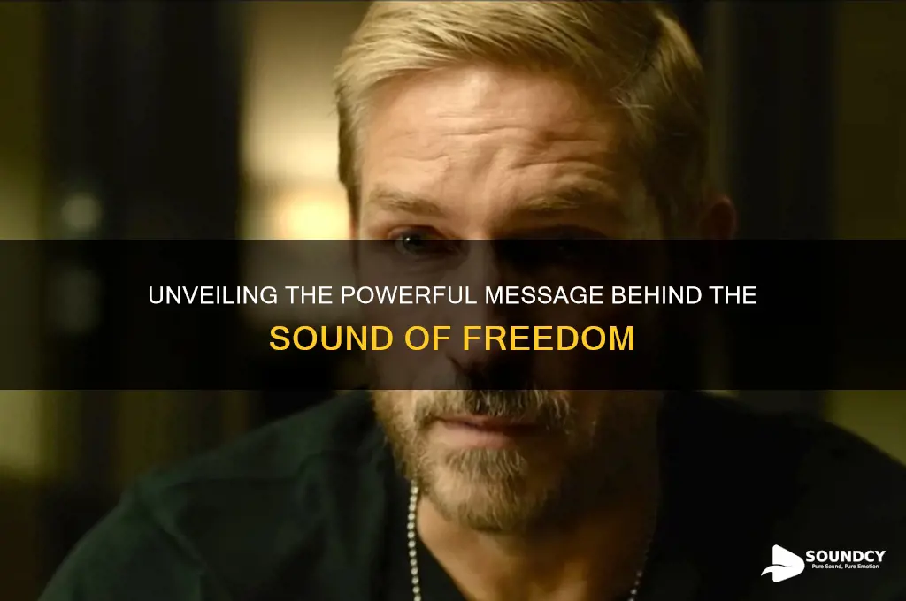 what is sound of fredom