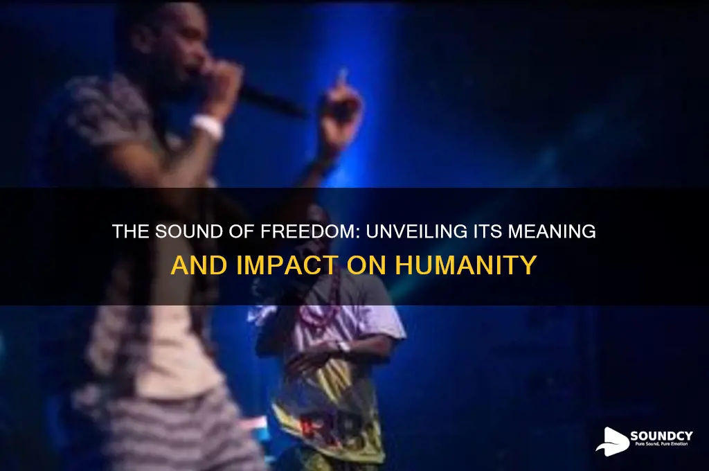 what is sound of freesom