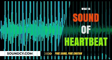 Understanding the Sound of Your Heartbeat: A Comprehensive Guide