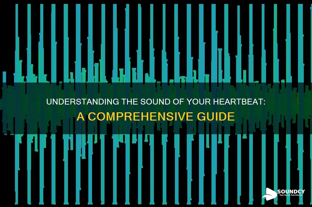 what is sound of heartbeat