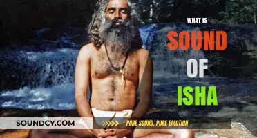 Exploring the Serene and Transformative Sound of Isha Meditation