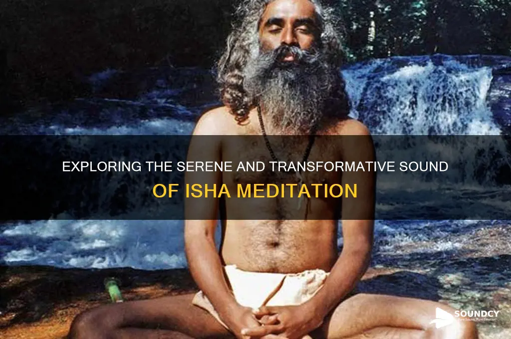 what is sound of isha