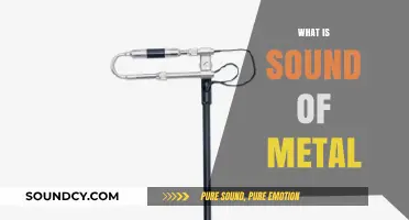 Unraveling the Raw Intensity: What is the Sound of Metal?