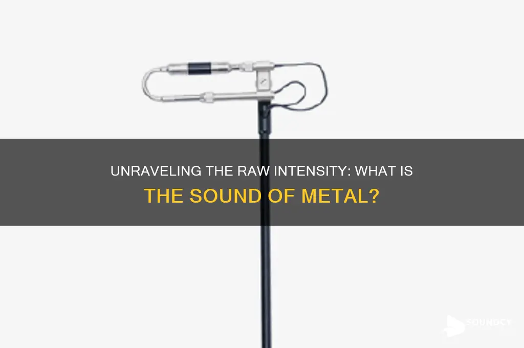 what is sound of metal