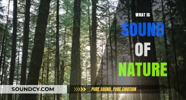 Exploring the Soothing and Healing Sound of Nature's Serenity