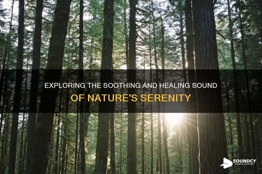 what is sound of nature