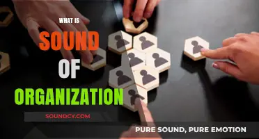 Understanding the Sound of Organization: Harmony, Communication, and Productivity