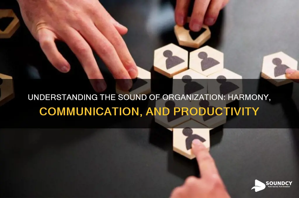 what is sound of organization