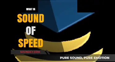 Exploring the Sonic Phenomenon: Understanding the Sound of Speed