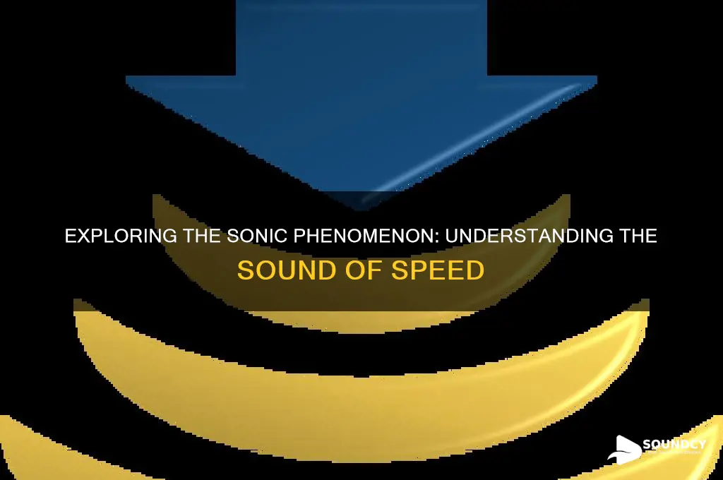 what is sound of speed