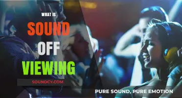 Understanding Sound Off Viewing: Silent Engagement in Digital Content Consumption