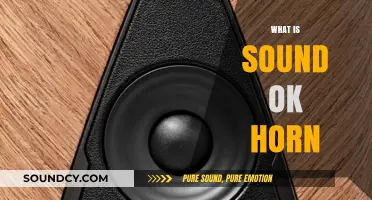 Understanding the SoundOK Horn: Features, Uses, and Benefits Explained